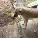 십일남매 이미지