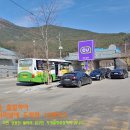 숲속의 쉼터민박 이미지