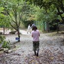 옥당걸숲속 | 김천 캠핑장 다시 가고 싶은 옥당걸 숲속캠핑장