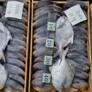 남경칼치 이미지