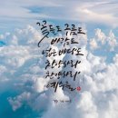 하루꽃 이미지