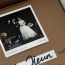 로단테(Rhodanthe) 이미지