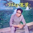 배*호 - 안양시 동안구 평촌대로179번길 | 배*호
