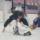아켄주짓수