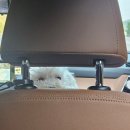 내포캠핑스퀘어 이미지