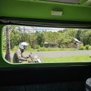 아쿠아마린 수중케어센터 | 보홀 나팔링 투어 프리다이빙: 정어리떼 인생샷 수중스냅 내돈내산 후기