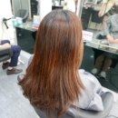 수니헤어샾 | 하단미용실 동아대미용실 해리헤어