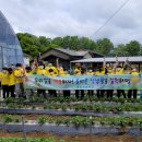 관호초교 이미지