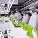 스마트큐브 1차 이미지