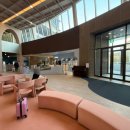 스위트펫 이미지