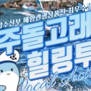 제주돌고래힐링투어