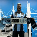 바닐바닐 이미지