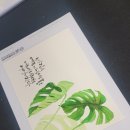 수채캘리그라피 이미지