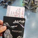 승하집 | 20251122 승하와 상하이 1일차