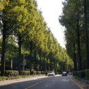 행정사 김보석 사무소 이미지