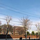 롯데하이마트(주)대치점 이미지