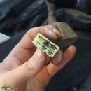 DS모터스포츠 이미지