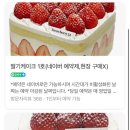 마포-현장-마포-1479 이미지