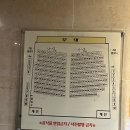 연극 <옥탑방 고양이> | [대구] 남녀노소 누구나 웃으며 볼 수 있는 대구 연극 추천 '옥탑방고양이' 관람후기