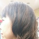 앨리스헤어샵 이미지