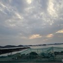 현창수산 - 고흥군 | 현창수산