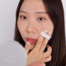 샘물 | 다이소파우더 줌바이정샘물 세범다운쿠션 내돈내산 솔직후기