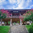 양함선생 충신정려 | 안동 병산서원 &amp; 체화정