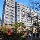 충청남도 계룡시 금암동 16-1 이미지