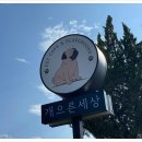 애견세상 이미지