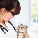 구성동물병원 이미지