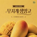올 데이 시즌
