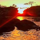 서정고등학교 이미지