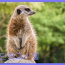 단희고시텔