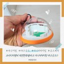 디자인물꼬 | 야구키링 추천, 쓰리디이엠피 대전한화볼파크 미니어처키링 야구굿즈 솔직 후기예요!