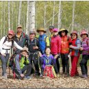 자작나무힐 이미지