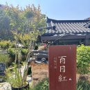 🍑 [청송 카페] &#39;백일홍&#39; – 과일주스 맛집 후기 (내돈내산)