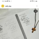 캘리스테이 이미지