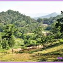 보은 삼년산성 이미지