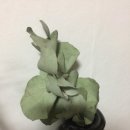 신진헤어샵 이미지