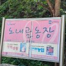 홍천노내골농장 이미지