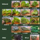 주은농장 이미지