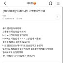 13년전 여시 의사매국노 증손녀 글 이미지