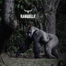 인천안경백화점 이미지