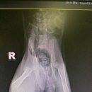 주연동물병원 이미지