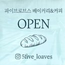파이브로브스 이미지