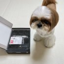 츄츄애견 | [공지] 앙비뉴 강아지 이발기 강아지 바리깡 _x3 터보플러스로 츄츄 셀프미용해본 후기
