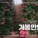 이호농원 이미지