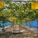 샤인하우스 이미지