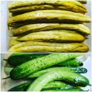 오이지 카카오 검색결과