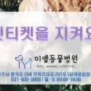 미엘동물병원 이미지